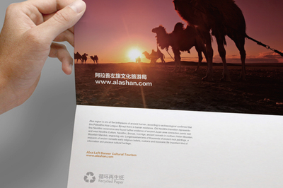 蒼天圣地 絲路駝鄉 先行品牌的差異化定位與創意設計之道